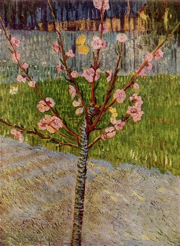 almond-tree-in-blossom-1888  Vincent van Gogh